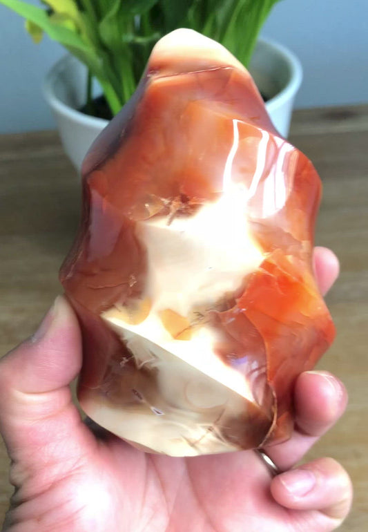 Carnelian Flame