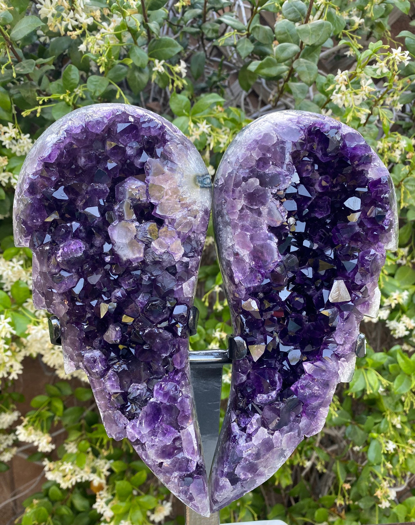 Amethyst Wings on stand