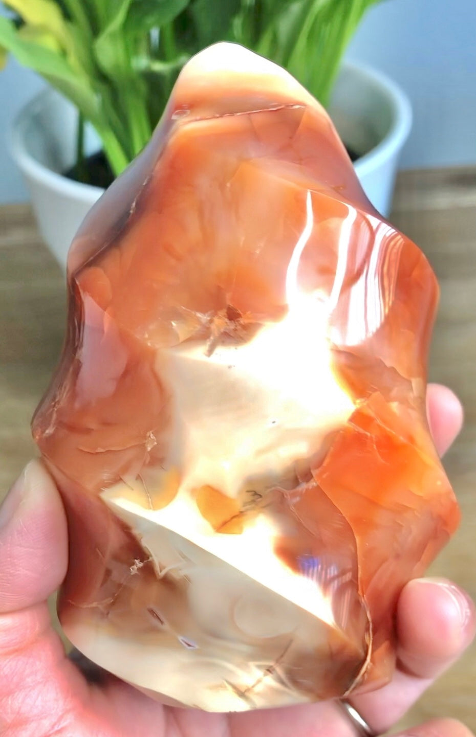 Carnelian Flame