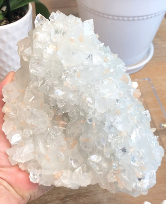 Glassy Clear Apophyllite and Peach Stilbite statement piece